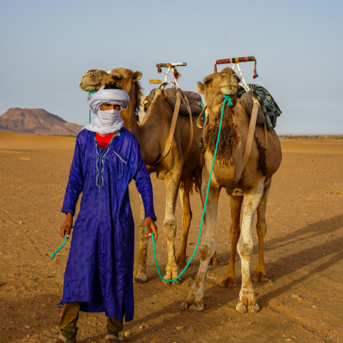 Local Sahara guide in the dunes near M'Hamid