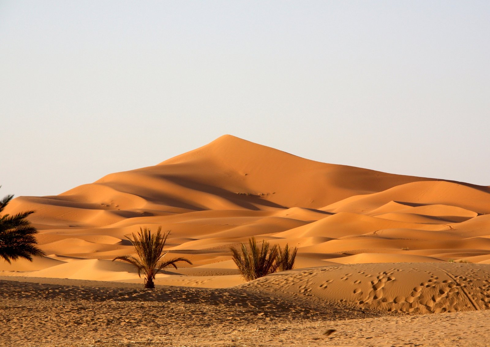 Hammada Stone Desert Tour